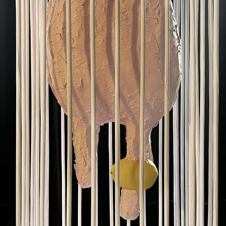 WS7-Challenge 2025 - Das Euter